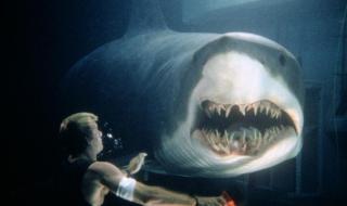 深海狂鲨好看吗