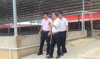 养猪场建设项目 养猪场建设项目